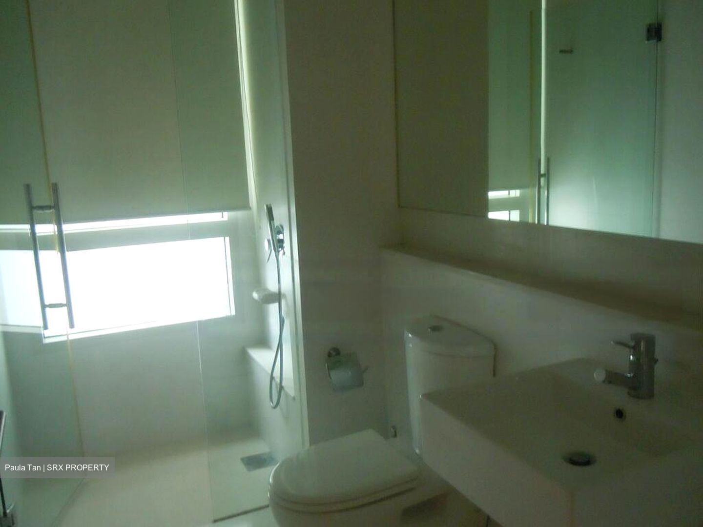 The Sea View (D15), Condominium #484499511